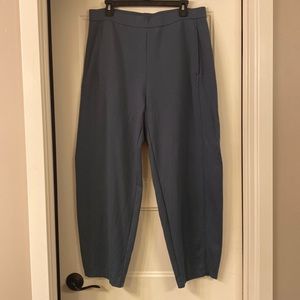 Eileen Fisher pant
